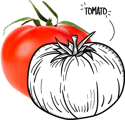 BIO-Center ZANN - 1929