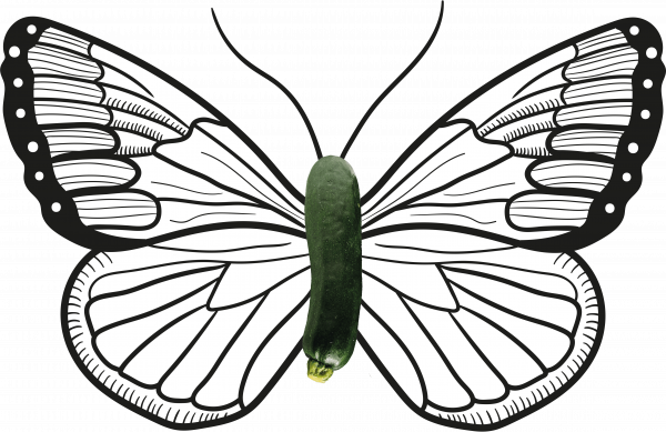 BIO-Center ZANN - 985