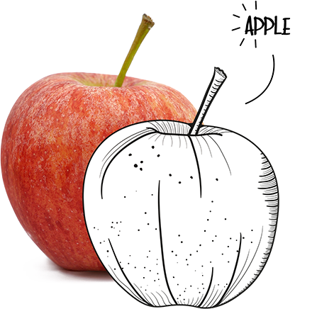 BIO-Center ZANN - 859